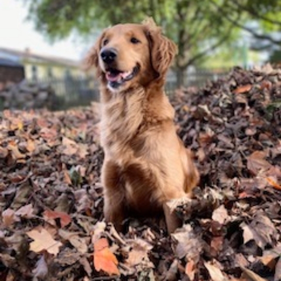 Meet your Posher, Nathan - Picture 15 of 16